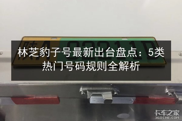 林芝豹子号最新出台盘点：5类热门号码规则全解析