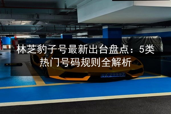 林芝豹子号最新出台盘点:5类热门号码规则全解析 第2张 林芝豹子号最新出台盘点:5类热门号码规则全解析 第2张