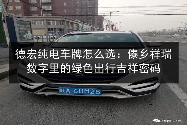 德宏纯电车牌怎么选:傣乡祥瑞数字里的绿色出行吉祥密码 第2张 德宏纯电车牌怎么选:傣乡祥瑞数字里的绿色出行吉祥密码 第2张