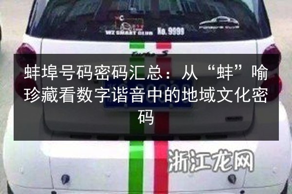 蚌埠号码密码汇总:从“蚌”喻珍藏看数字谐音中的地域文化密码 第3张 蚌埠号码密码汇总:从“蚌”喻珍藏看数字谐音中的地域文化密码 第3张