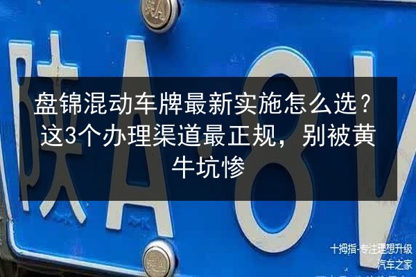 盘锦混动车牌最新实施怎么选？这3个办理渠道最正规，别被黄牛坑惨