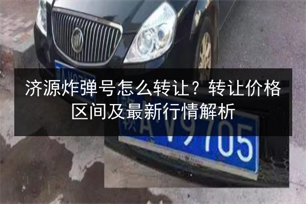 济源炸弹号怎么转让？转让价格区间及最新行情解析 第3张