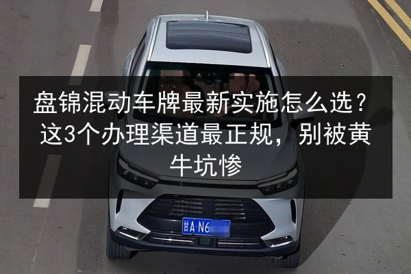 盘锦混动车牌最新实施怎么选?这3个办理渠道最正规,别被黄牛坑惨 第2张 盘锦混动车牌最新实施怎么选?这3个办理渠道最正规,别被黄牛坑惨 第2张