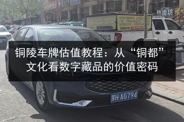 铜陵车牌估值教程：从“铜都”文化看数字藏品的价值密码 第2张