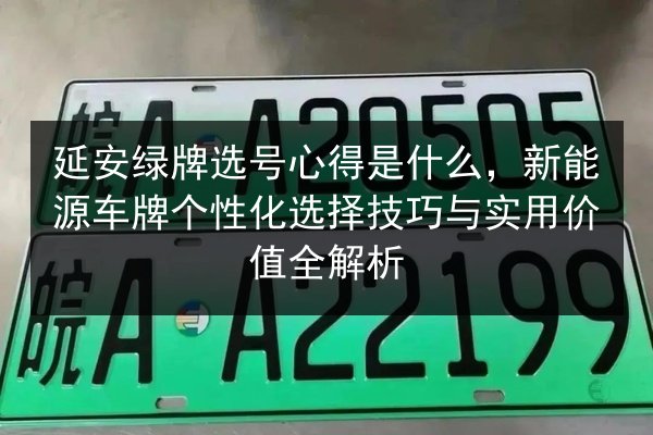 延安绿牌选号心得是什么，新能源车牌个性化选择技巧与实用价值全解析 第1张