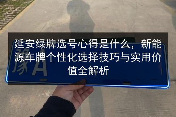 延安绿牌选号心得是什么，新能源车牌个性化选择技巧与实用价值全解析 第2张