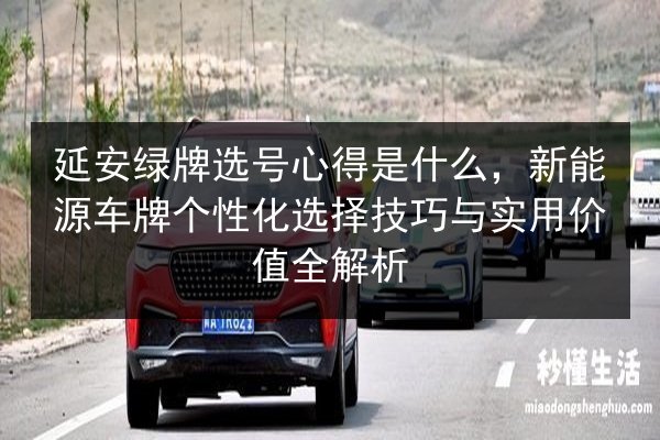 延安绿牌选号心得是什么，新能源车牌个性化选择技巧与实用价值全解析 第3张