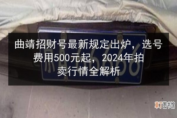 曲靖招财号最新规定出炉，选号费用500元起，2024年拍卖行情全解析