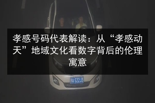 孝感号码代表解读：从“孝感动天”地域文化看数字背后的伦理寓意