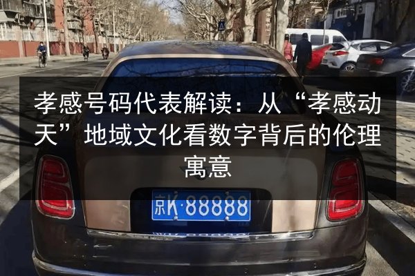 孝感号码代表解读：从“孝感动天”地域文化看数字背后的伦理寓意 第2张
