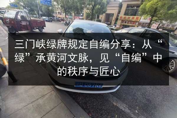 三门峡绿牌规定自编分享：从“绿”承黄河文脉，见“自编”中的秩序与匠心 第2张