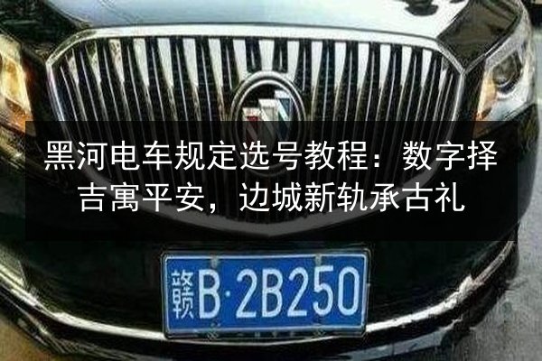 黑河电车规定选号教程：数字择吉寓平安，边城新轨承古礼 第2张