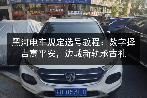 黑河电车规定选号教程：数字择吉寓平安，边城新轨承古礼 第3张