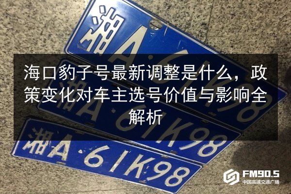 海口豹子号最新调整是什么，政策变化对车主选号价值与影响全解析