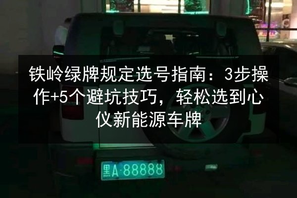 铁岭绿牌规定选号指南:3步操作+5个避坑技巧,轻松选到心仪新能源车牌 第3张 铁岭绿牌规定选号指南:3步操作+5个避坑技巧,轻松选到心仪新能源车牌 第3张
