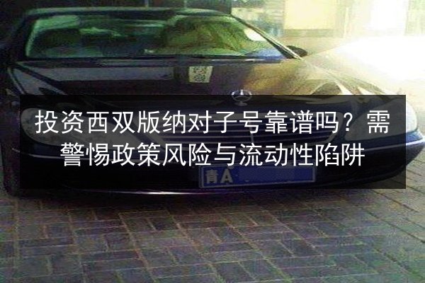投资西双版纳对子号靠谱吗？需警惕政策风险与流动性陷阱