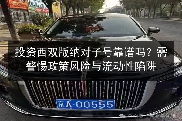 投资西双版纳对子号靠谱吗?需警惕政策风险与流动性陷阱 第2张 投资西双版纳对子号靠谱吗?需警惕政策风险与流动性陷阱 第2张