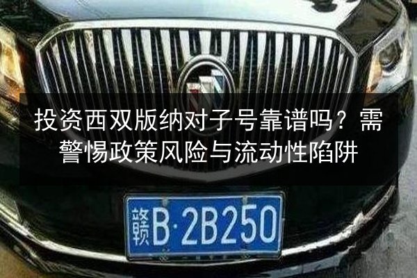 投资西双版纳对子号靠谱吗?需警惕政策风险与流动性陷阱 第3张 投资西双版纳对子号靠谱吗?需警惕政策风险与流动性陷阱 第3张