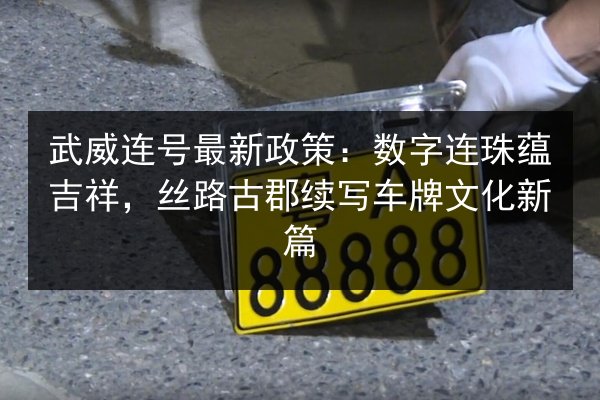 武威连号最新政策：数字连珠蕴吉祥，丝路古郡续写车牌文化新篇