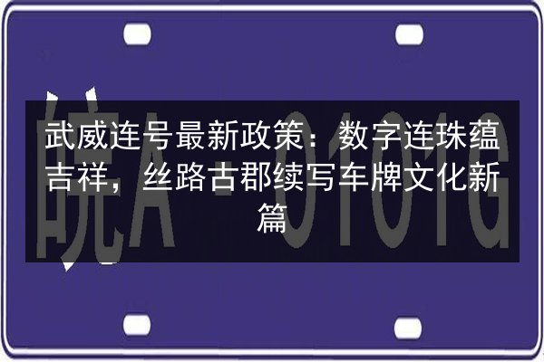 武威连号最新政策：数字连珠蕴吉祥，丝路古郡续写车牌文化新篇 第2张