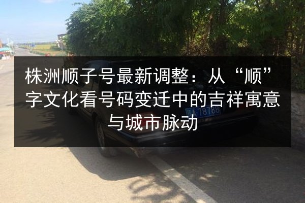 株洲顺子号最新调整:从“顺”字文化看号码变迁中的吉祥寓意与城市脉动 第2张 株洲顺子号最新调整:从“顺”字文化看号码变迁中的吉祥寓意与城市脉动 第2张