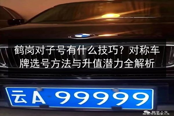 鹤岗对子号有什么技巧？对称车牌选号方法与升值潜力全解析