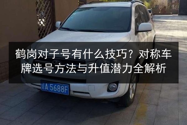 鹤岗对子号有什么技巧?对称车牌选号方法与升值潜力全解析 第2张 鹤岗对子号有什么技巧?对称车牌选号方法与升值潜力全解析 第2张