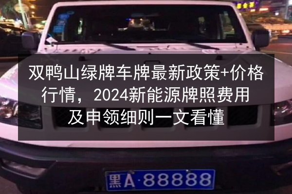 双鸭山绿牌车牌最新政策+价格行情，2024新能源牌照费用及申领细则一文看懂