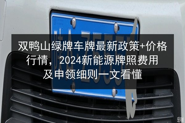 双鸭山绿牌车牌最新政策+价格行情,2024新能源牌照费用及申领细则一文看懂 第2张 双鸭山绿牌车牌最新政策+价格行情,2024新能源牌照费用及申领细则一文看懂 第2张