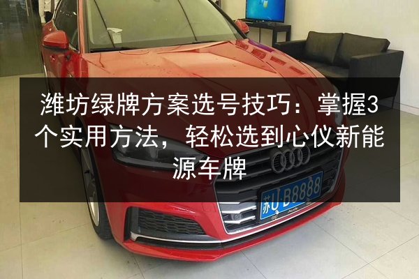 潍坊绿牌方案选号技巧：掌握3个实用方法，轻松选到心仪新能源车牌 第1张