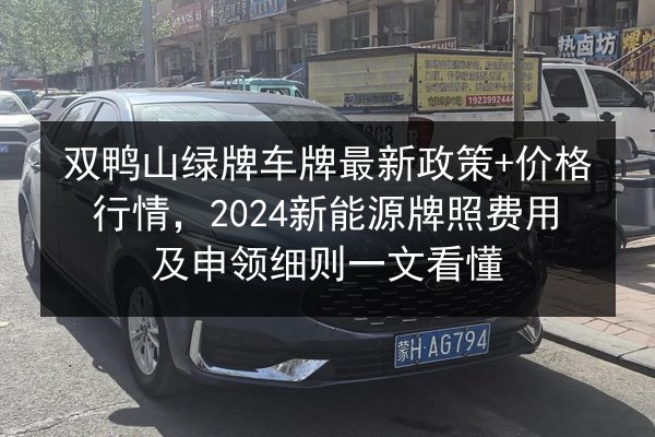 双鸭山绿牌车牌最新政策+价格行情,2024新能源牌照费用及申领细则一文看懂 第3张 双鸭山绿牌车牌最新政策+价格行情,2024新能源牌照费用及申领细则一文看懂 第3张