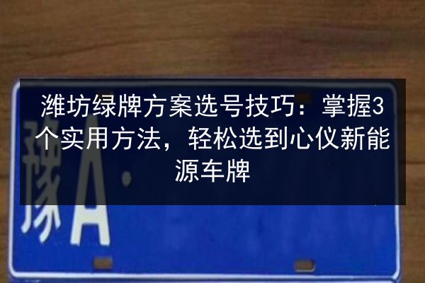 潍坊绿牌方案选号技巧：掌握3个实用方法，轻松选到心仪新能源车牌 第2张