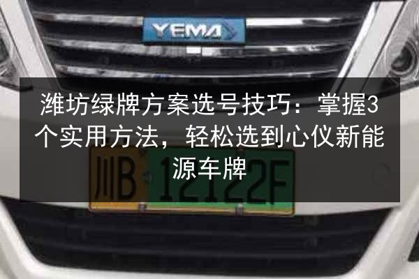 潍坊绿牌方案选号技巧：掌握3个实用方法，轻松选到心仪新能源车牌 第3张