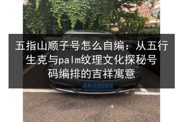 五指山顺子号怎么自编：从五行生克与palm纹理文化探秘号码编排的吉祥寓意