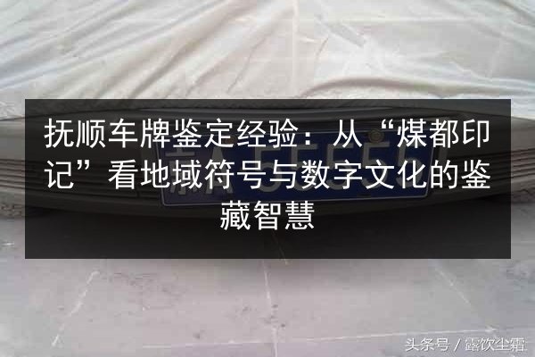 抚顺车牌鉴定经验:从“煤都印记”看地域符号与数字文化的鉴藏智慧 第2张 抚顺车牌鉴定经验:从“煤都印记”看地域符号与数字文化的鉴藏智慧 第2张