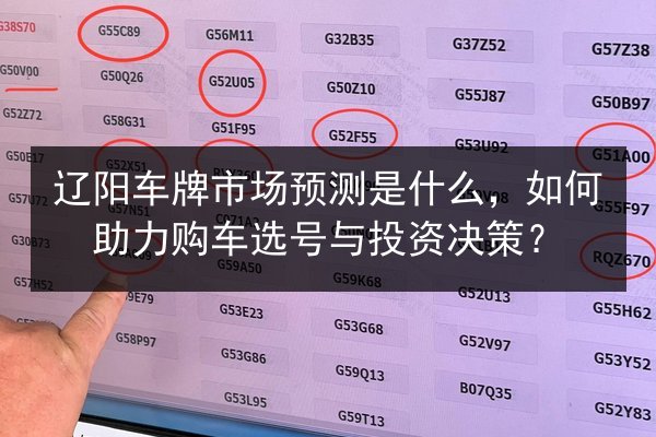 辽阳车牌市场预测是什么,如何助力购车选号与投资决策? 第3张 辽阳车牌市场预测是什么,如何助力购车选号与投资决策? 第3张