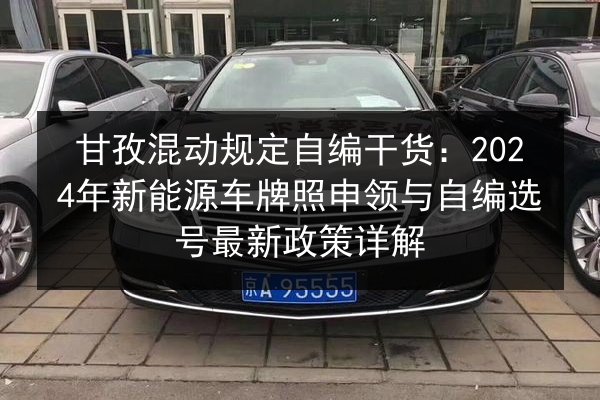 甘孜混动规定自编干货：2024年新能源车牌照申领与自编选号最新政策详解