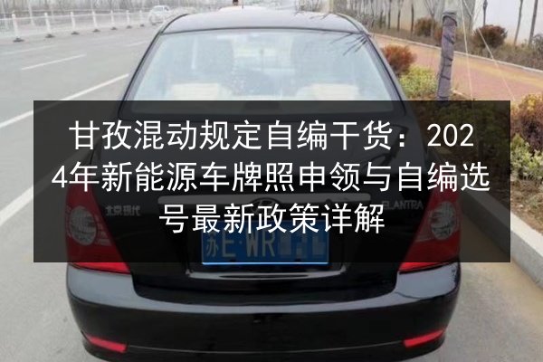 甘孜混动规定自编干货：2024年新能源车牌照申领与自编选号最新政策详解 第2张