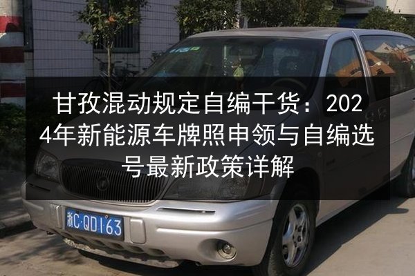 甘孜混动规定自编干货：2024年新能源车牌照申领与自编选号最新政策详解 第3张