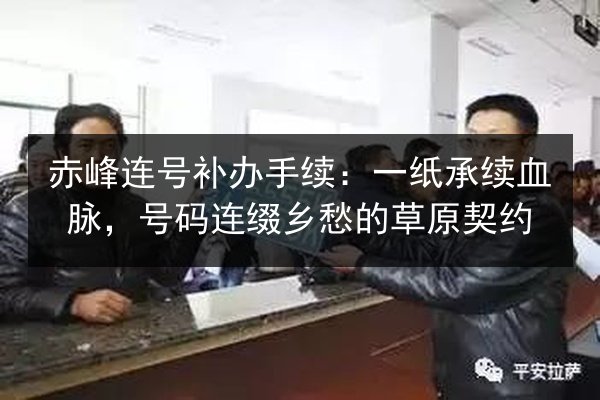 赤峰连号补办手续：一纸承续血脉，号码连缀乡愁的草原契约 第1张