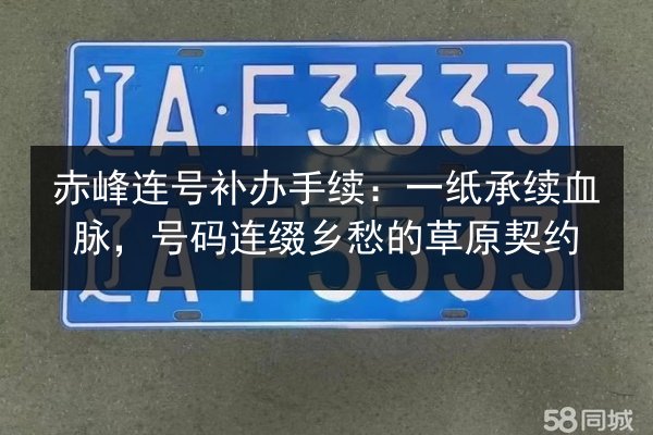 赤峰连号补办手续：一纸承续血脉，号码连缀乡愁的草原契约 第2张