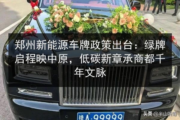 郑州新能源车牌政策出台：绿牌启程映中原，低碳新章承商都千年文脉 第1张