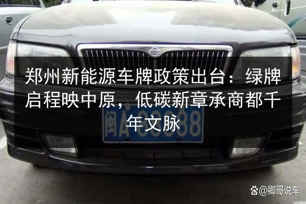 郑州新能源车牌政策出台：绿牌启程映中原，低碳新章承商都千年文脉 第2张