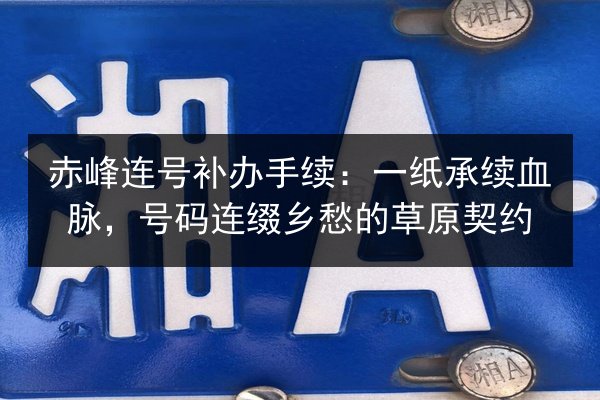 赤峰连号补办手续：一纸承续血脉，号码连缀乡愁的草原契约 第3张