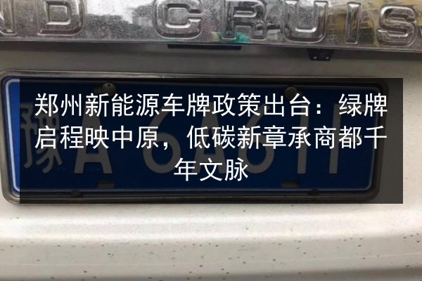 郑州新能源车牌政策出台：绿牌启程映中原，低碳新章承商都千年文脉 第3张
