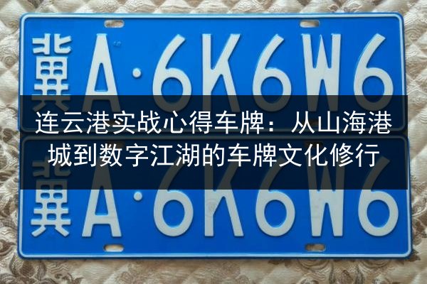 连云港实战心得车牌：从山海港城到数字江湖的车牌文化修行