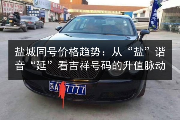 盐城同号价格趋势：从“盐”谐音“延”看吉祥号码的升值脉动