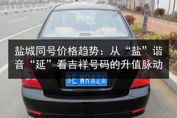 盐城同号价格趋势：从“盐”谐音“延”看吉祥号码的升值脉动 第2张