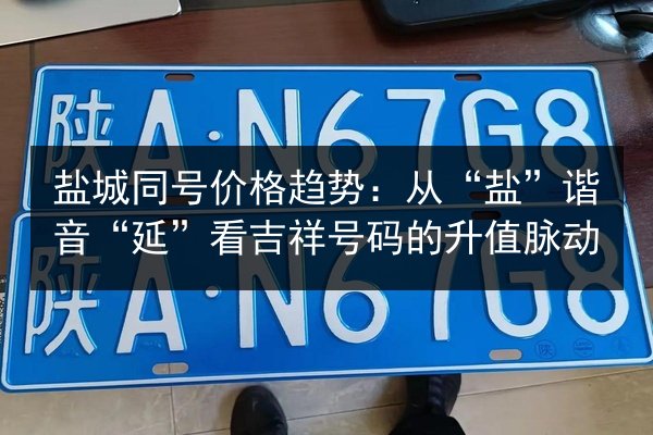 盐城同号价格趋势：从“盐”谐音“延”看吉祥号码的升值脉动 第3张