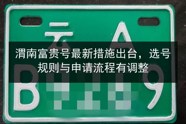 渭南富贵号最新措施出台,选号规则与申请流程有调整 第2张 渭南富贵号最新措施出台,选号规则与申请流程有调整 第2张